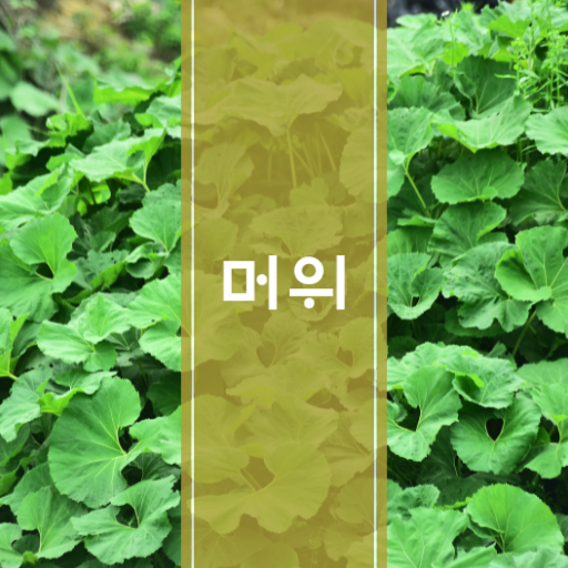  머위나물 머위뿌리 효능이 궁금하시죠?