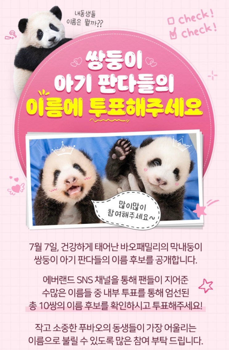 <b>쌍둥이 판다</b> 이름 투표 참여하기