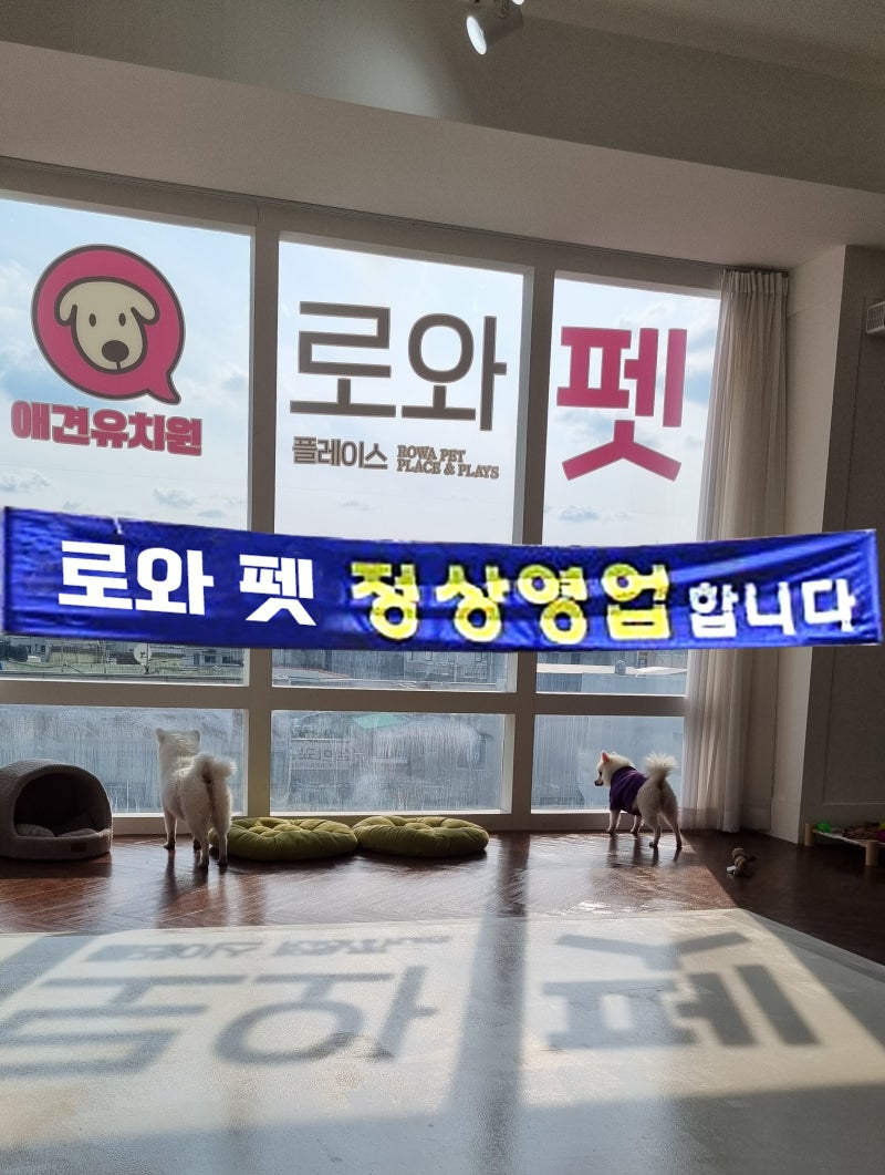 사진 2