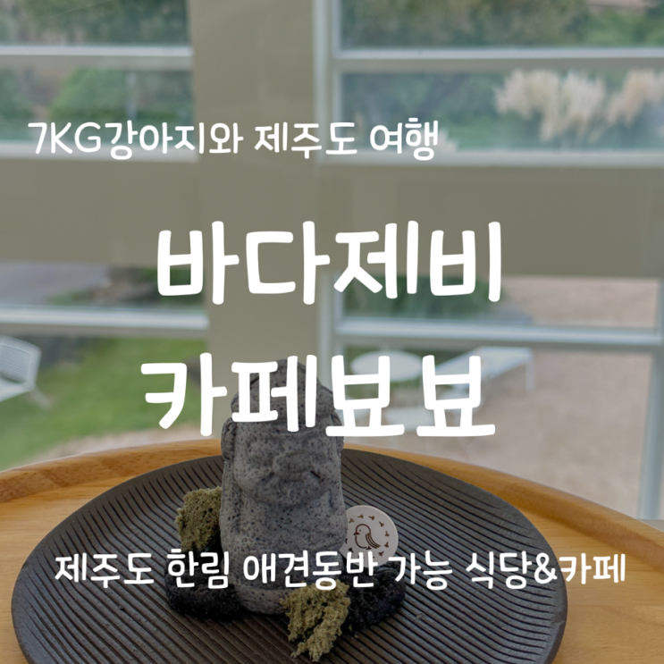  [7kg 강아지와 제주도 한림 여행/동반가능 식당/카페] 바다제비 / 카페뵤뵤