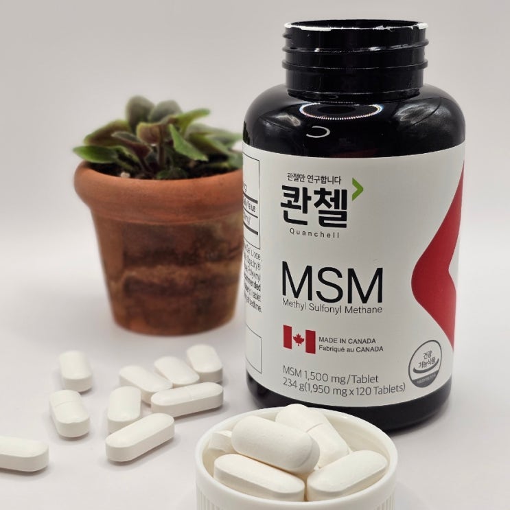  콴첼 MSM관절영양제