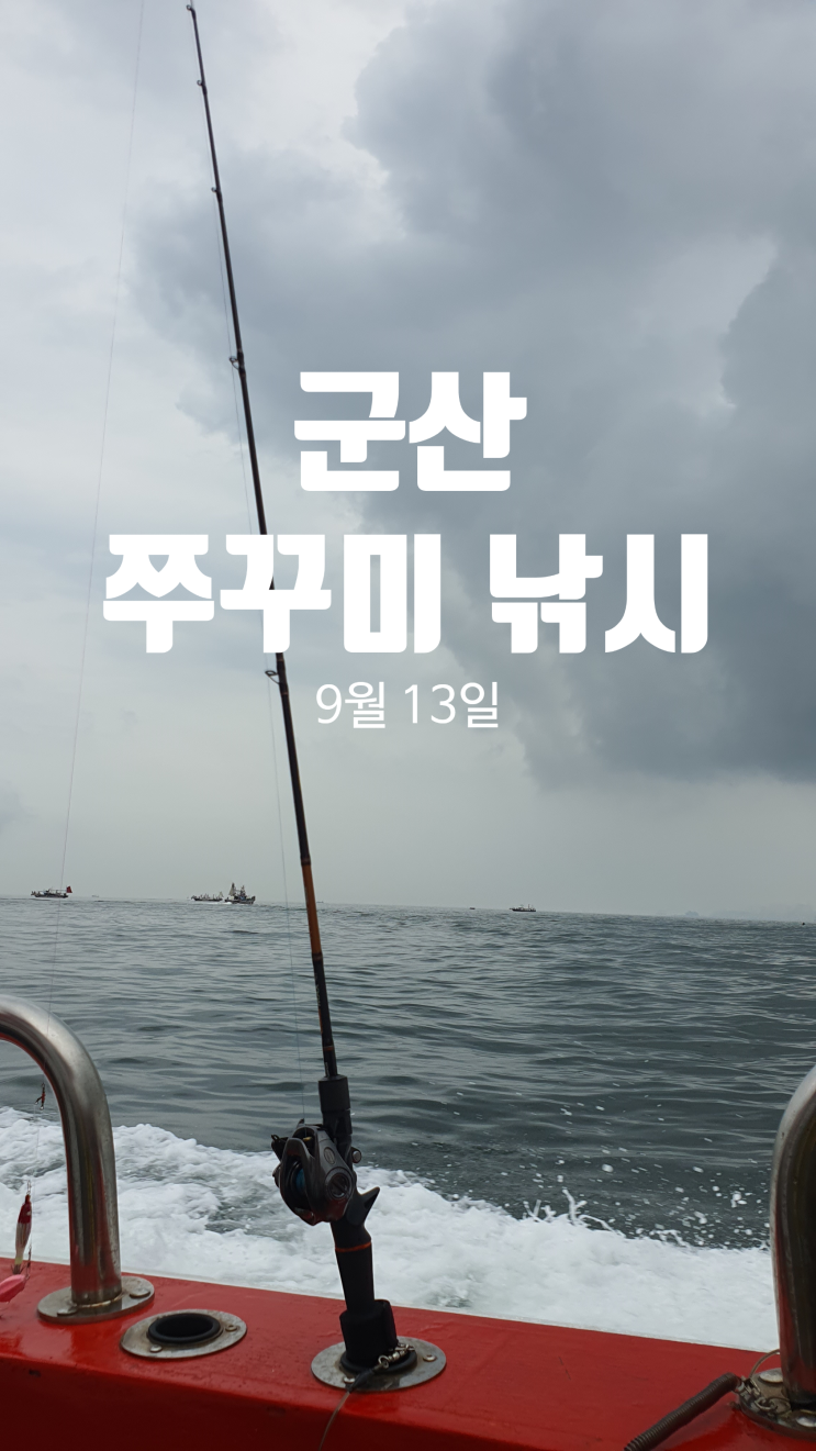 [조행기] 군산 비응항 쭈꾸미 낚시 출조 후기 (9월 13일)(카니발호)(하루 종일 우중낚시)