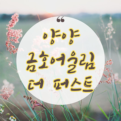  양양 금호어울림 더퍼스트 아파트 구교리 남대천뷰 미분양아파트 강원도 줍줍 잔여세대 분양가격 모델하우스 방문
