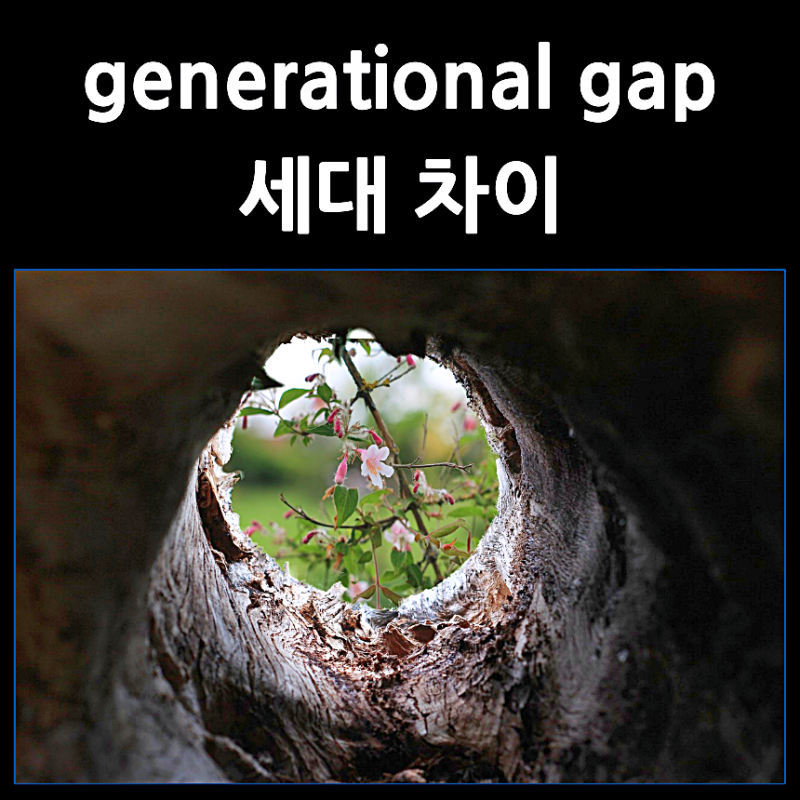 generational gap 뜻은 세대 차이