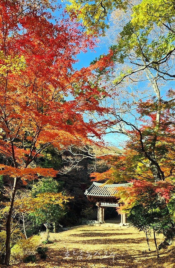  모후산 단풍 숲길 ‘가을철 걷고 싶은 숲길’ 대상 선정