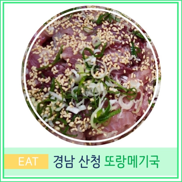  산청 맛집 또랑메기국 영업 시간 주차 향어회 경남 여행 가볼만한 곳