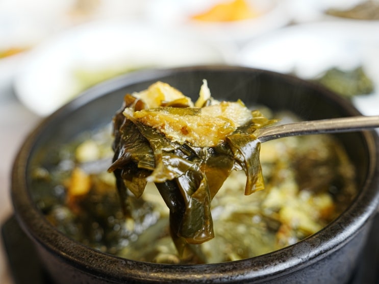  용평cc, 버치힐cc 맛집 고향이야기. 골프 라운딩전 식사하기 좋은 곳으로 추천