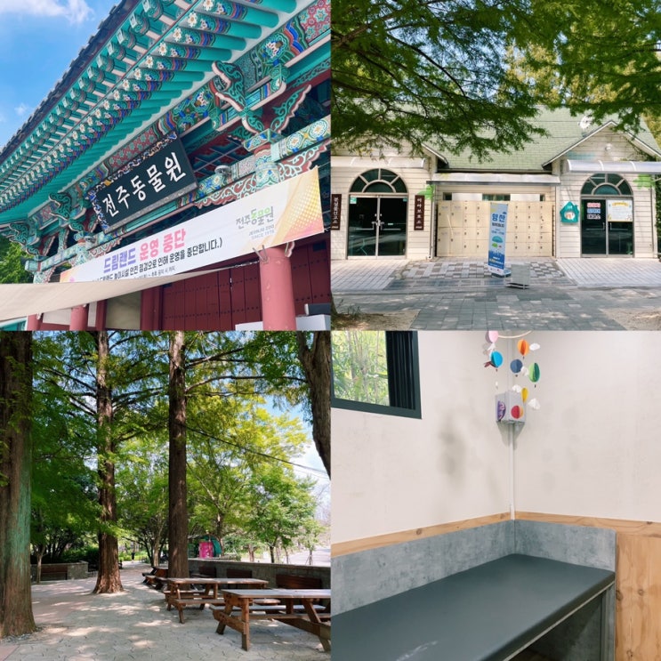 전주동물원 수유실 입장료 유모차대여 주차비 꼼꼼체크해요 전주동물원 수유실 입장료 유모차대여 주차비 꼼꼼체크해요