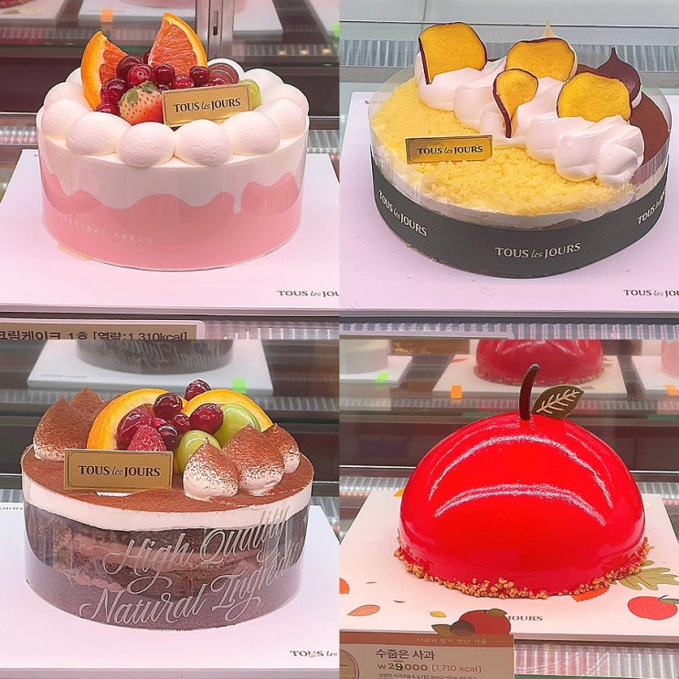 뚜레쥬르 케이크 종류 가격 예약 생크림케이크 추천 뚜레쥬르 케이크 종류 가격 예약 생크림케이크 추천