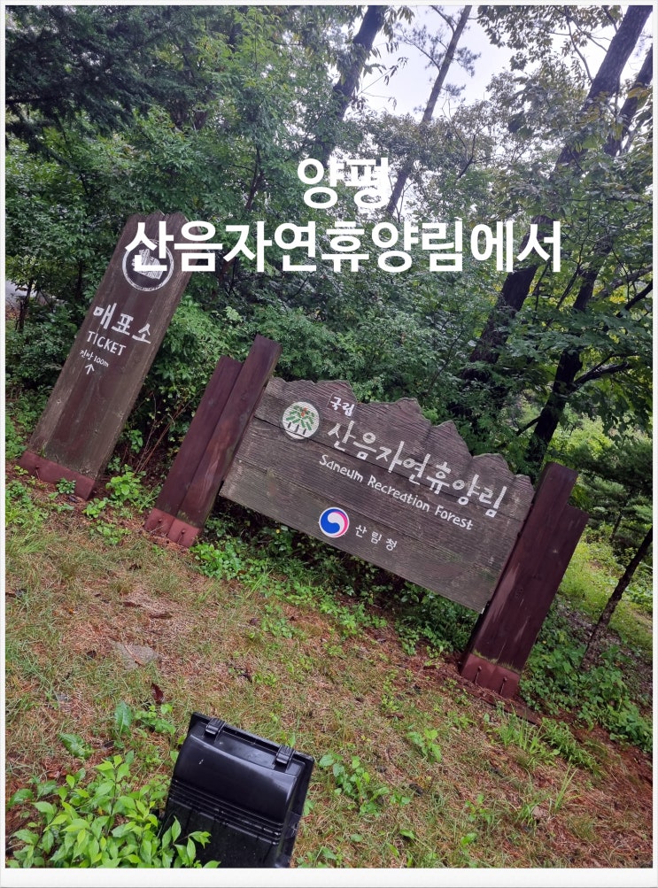  【산음자연휴양림】을 처음으로 만나다~... 20230916