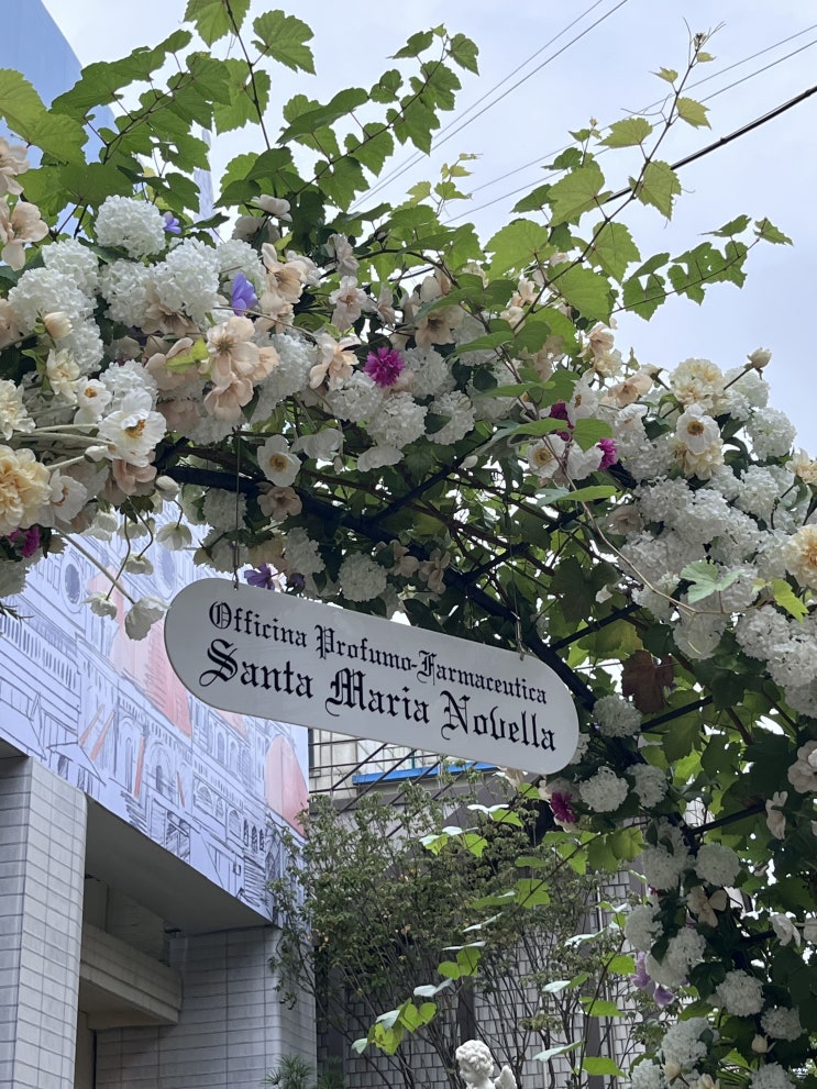  성수팝업, 산타마리아노벨라 메디치가든 팝업스토어 후기