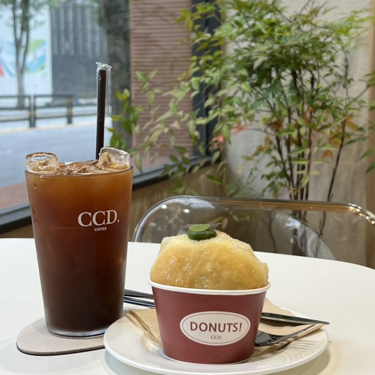  평택 시청 도넛 맛있는 카공하기 좋은 힙한 카페  CCD 추천