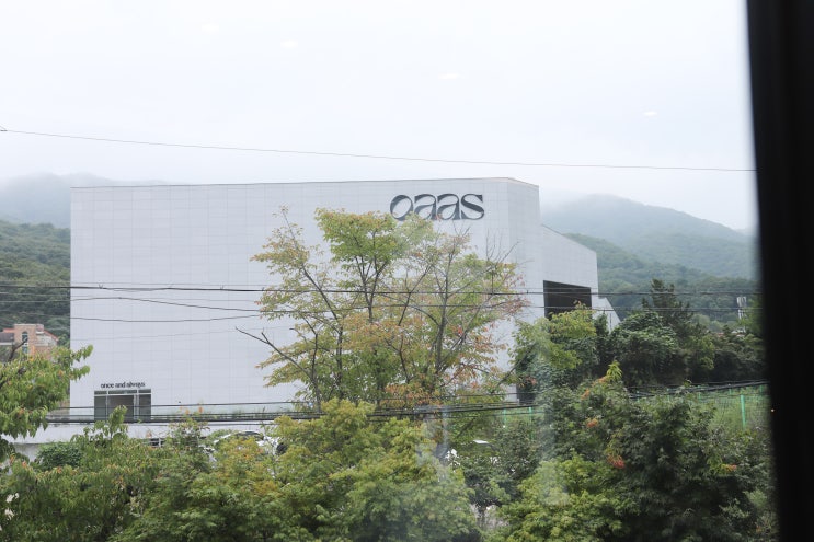  애플이 카페를 낸듯한 고기리  감각적인 카페 오아스