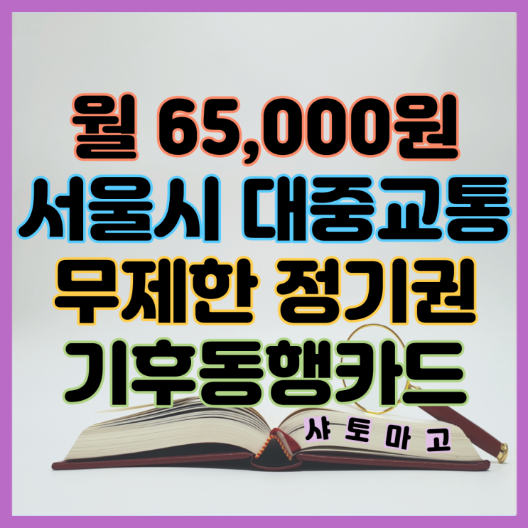 월 65,000원 <b>서울시 대중교통</b> 무제한 정기권 기후동행카드... 