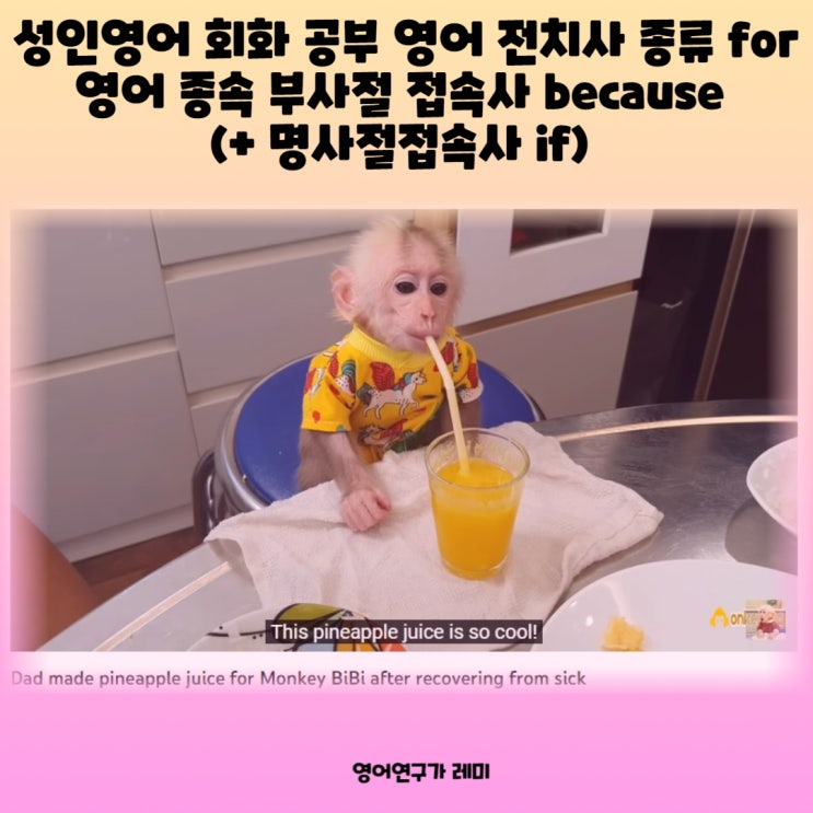 성인 영어회화 독학 영어 전치사 종류 for 영어 종속 부사절 접속사 종류 because, 명사절접속사 if 성인 영어회화 독학 영어 전치사 종류 for 영어 종속 부사절 접속사 종류 because, 명사절접속사 if