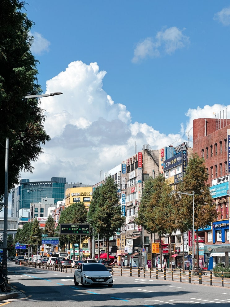  하루만 연차 내고 개명 후 할일 끝내는 꿀팁 (실명인증, 통신사, 은행, 보험, 자격증, 항공권 등)