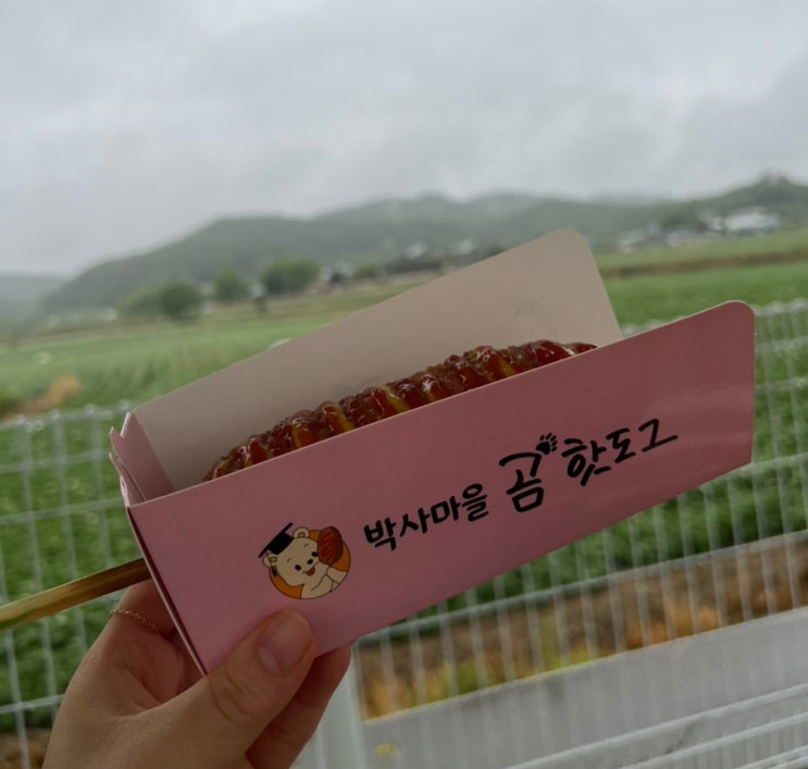  춘천 서면 맛집 박사마을 곰핫도그 곰취 취나물 효능 듬뿍 유아 어린이간식