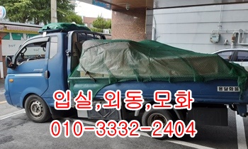  입실용달 외동 모화 불국사 양북 감포 울릉도 양남.