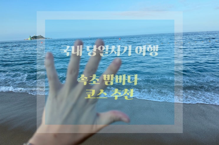  국내 여행 속초 당일치기 총정리 1탄