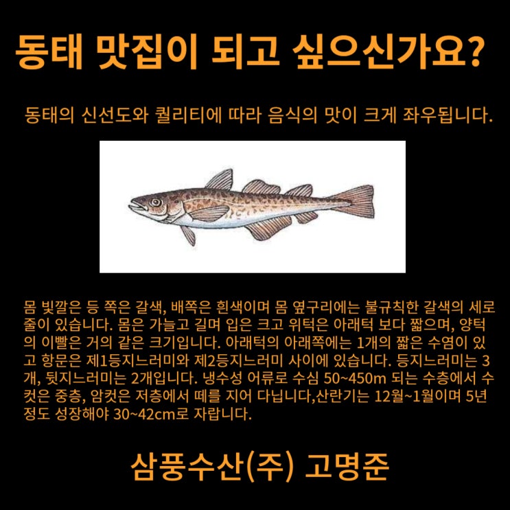  동태? 명태? 26년 경력의 수산물 전문가가 알려주는 업소용 동태, 명태 구매 팁