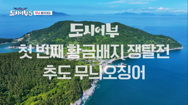 도시어부 시즌5 2화 9월 14일 2화 무늬오징어, 돌문어 낚시 결과 요약