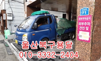 울산북구용달 모화 외동 입실 불국사 양남 울릉도. 울산북구용달 모화 외동 입실 불국사 양남 울릉도.
