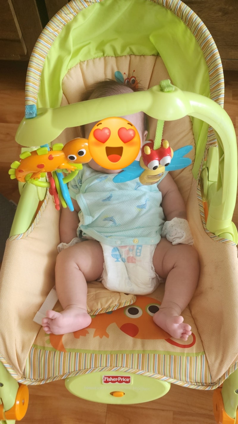 아기바운서 어떤것을 고를까:세이지폴 원목바운서vs피셔프라이스 바운서 :신생아때부터 백....