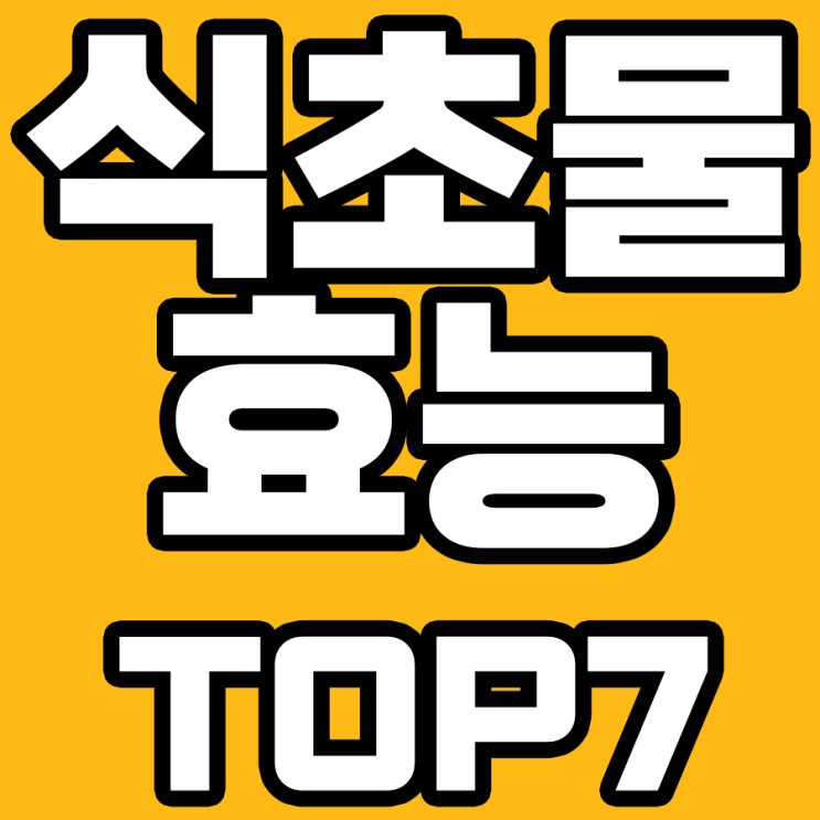  식초물 효능 총정리! 건강에 도움 되는 7가지 특징