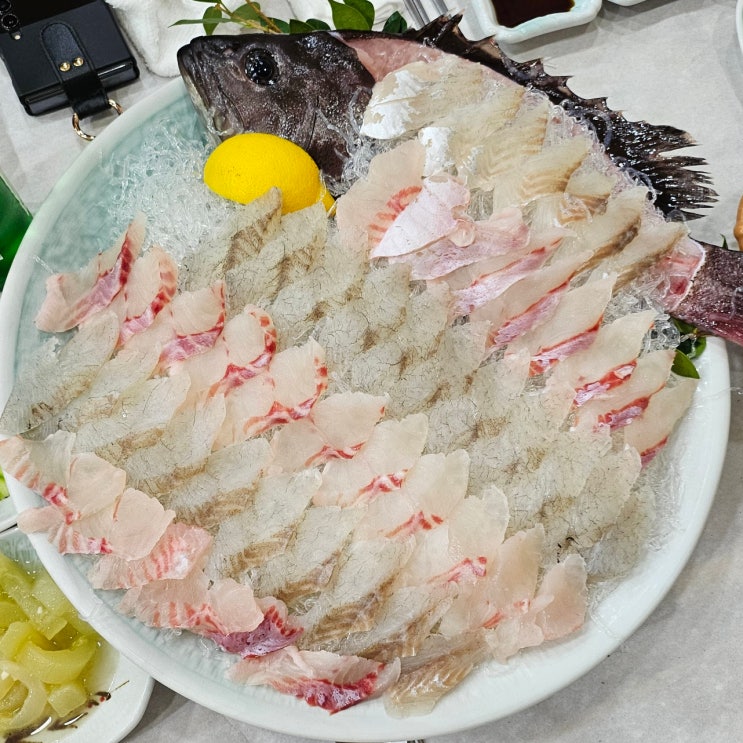  진주횟집 추천 예약필수 맛집 상평동 <참바리횟집>