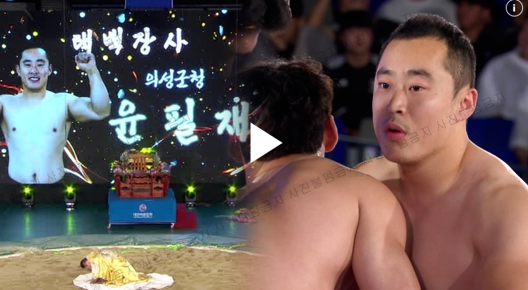2023 <b>추석 장사 씨름 대회</b> 중계... 태백 우승 임태혁 <b>김민재</b> 윤필재