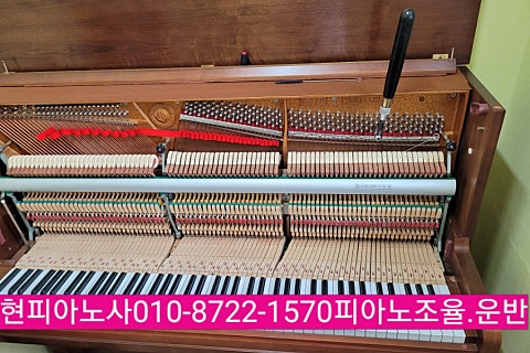 소리피아음악학원 이미지