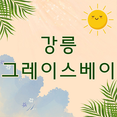  강릉 그레이스베이 민간임대아파트 사천진 해수욕장 오션뷰 10년전세 사천면 신규아파트 타입별 공급가 홍보관