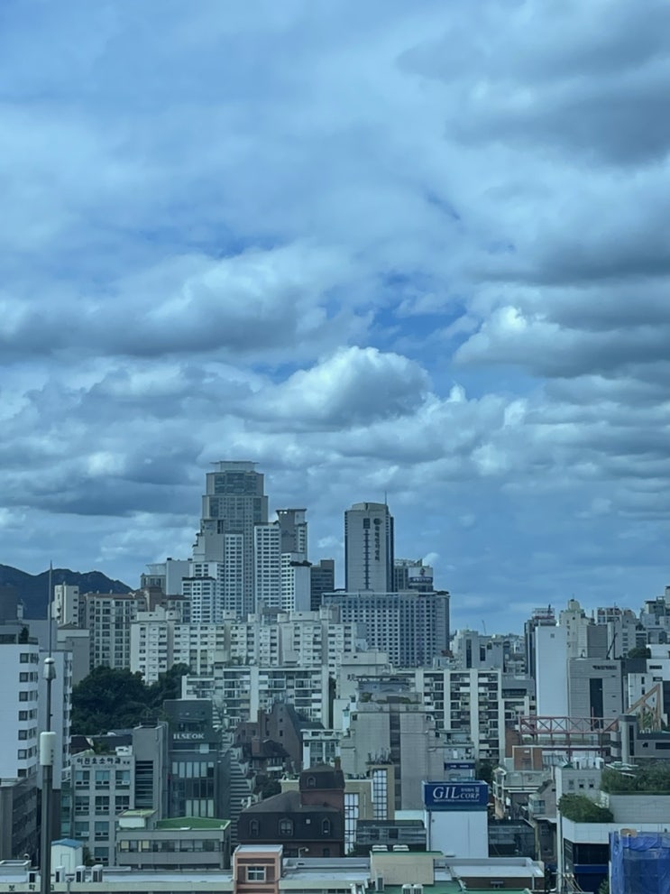  맑을뻔 했던 9월 셋째주 요약일기 