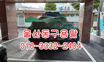 울산동구용달 정자 양남 양북 감포 모화 외동 입실 울릉도. 울산동구용달 정자 양남 양북 감포 모화 외동 입실 울릉도.