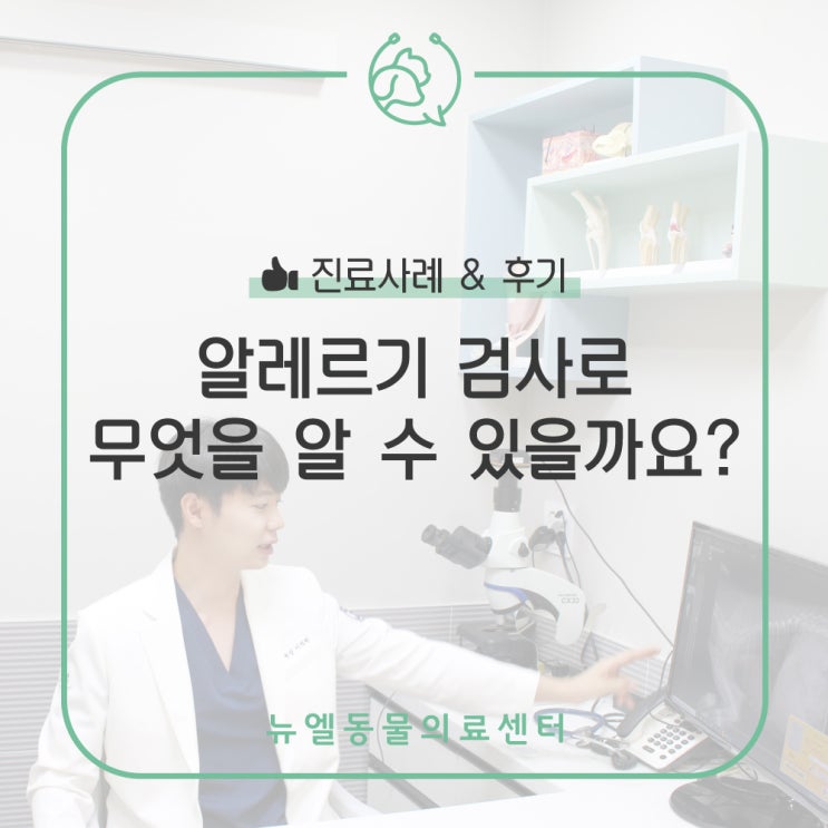  [화성/동탄역 동물병원] 알레르기 검사로 무엇을 알 수 있을까요? (피부병, 눈물자국 등)