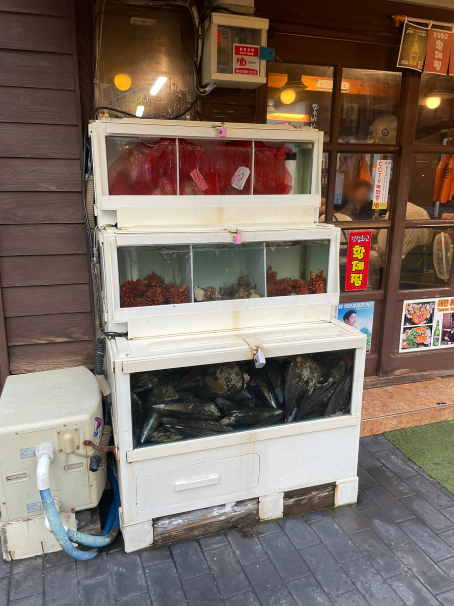 대통조계찜 본점 사진 2