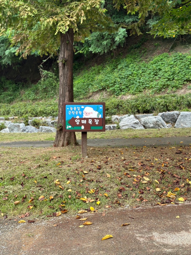 인천 늘솔길공원 양떼목장 - 양 먹이주기, 주차장, 24개월아기 갈만한 곳