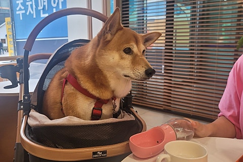 바로BAROH 이미지