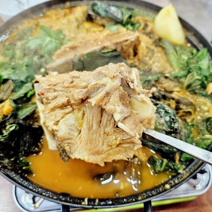 대구 두류네거리 맛집 보백관 전복 감자탕 뼈 해장국 찐맛집 추천 대구 두류네거리 맛집 보백관 전복 감자탕 뼈 해장국 찐맛집 추천