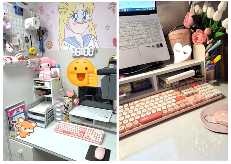  [내돈내산]앱코 WKM01 핑크 무선 키보드 세트로 데스크테리어 완성(feat. 목디스크, 허리디스크 자세교정)