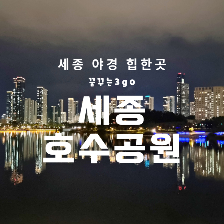  세종 야경 힙한 곳 세종 호수 공원