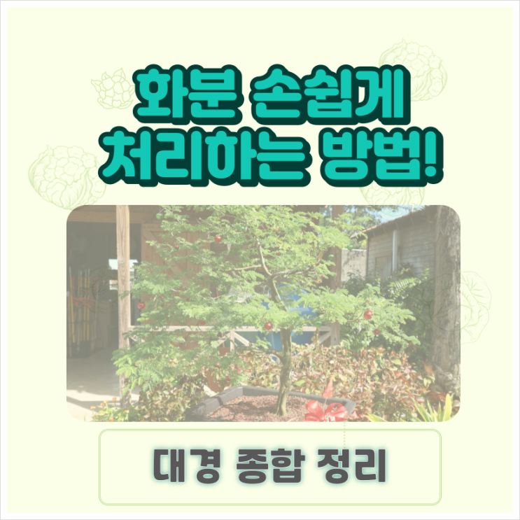  화분 버리기 재질별로 손쉽게 처리하는 방법