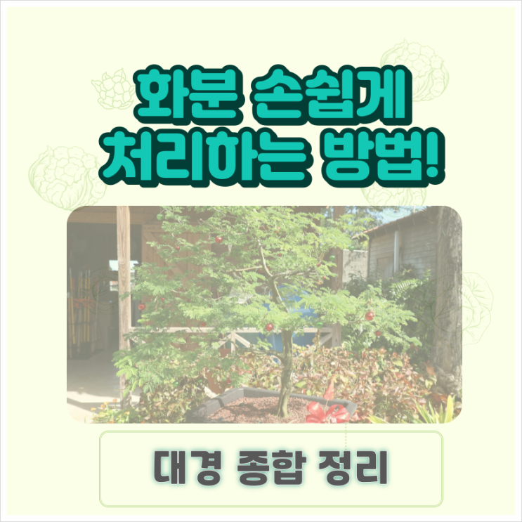 화분 버리기 재질별로 손쉽게 처리하는 방법