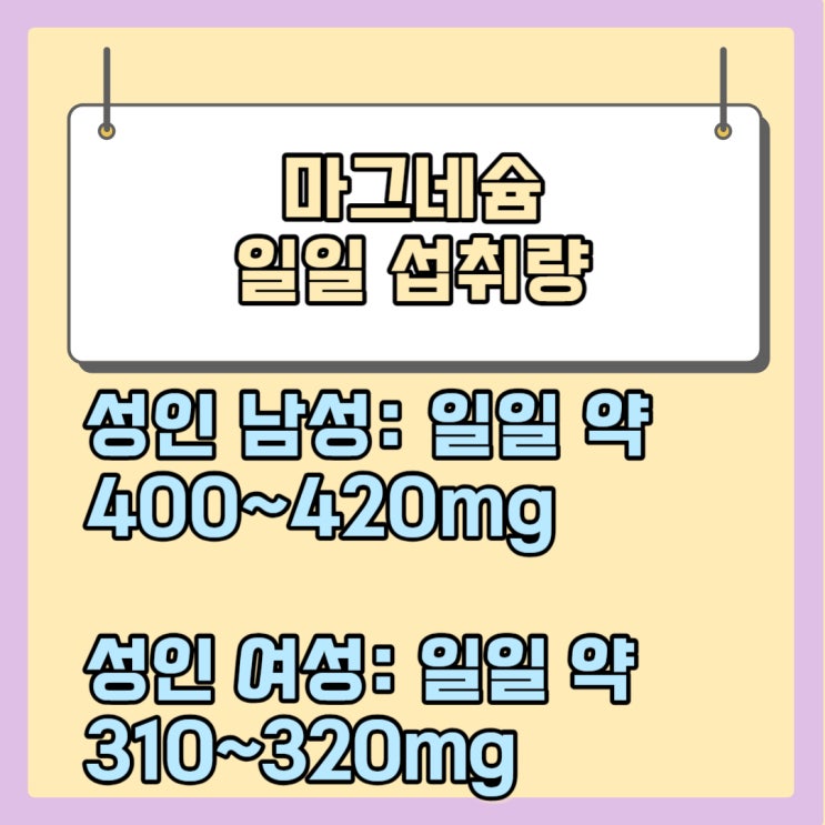  마그네슘 일일 섭취량, 효능, 많은 음식 6가지 알아보기