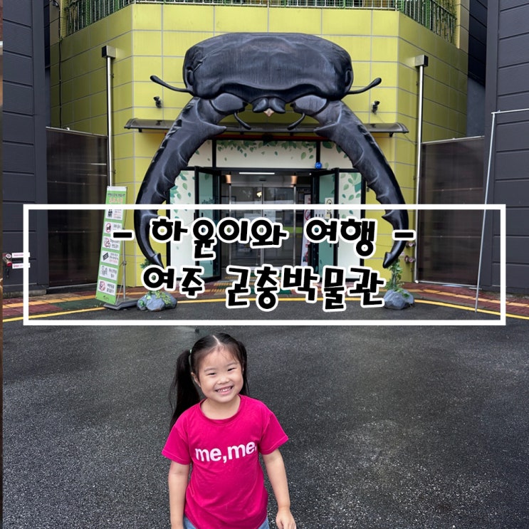   여주 곤충박물관 & 표본체험