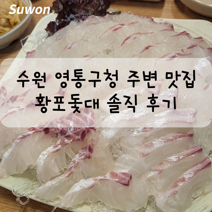  수원 영통구청 주변 활어회 맛집 황포돛대 솔직 후기