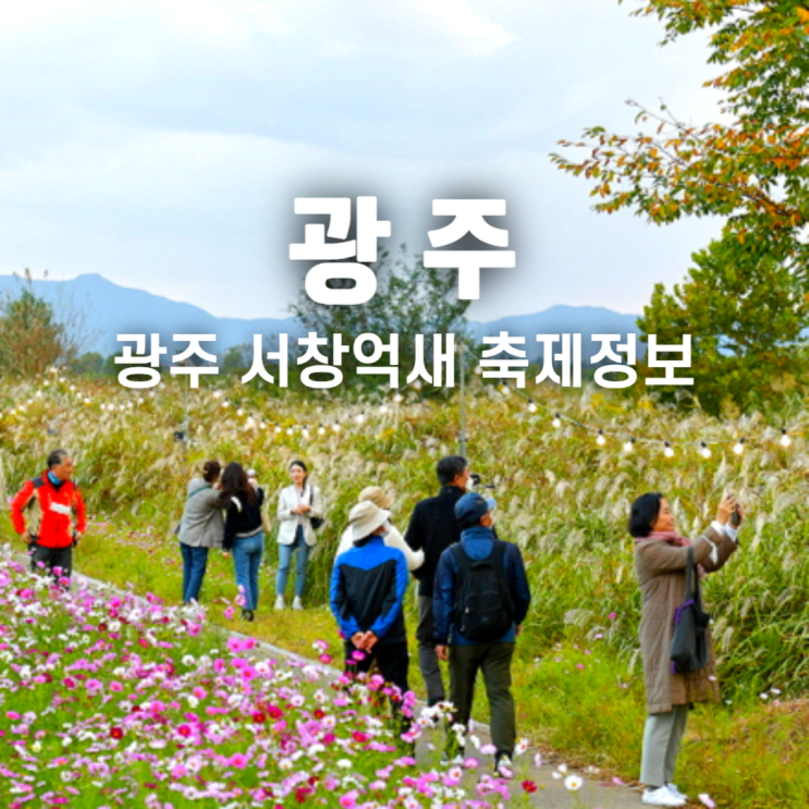  광주 서창 억새축제 기본 정보 주차 행사 후기