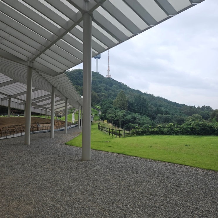  남산 뚜벅이 | 회현역 벽화마을, 백범김구광장, 안중근의사기념관, N 서울타워(남산타워)