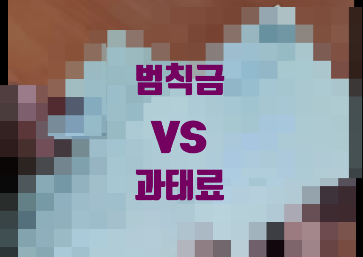  범칙금 절대 내지 마십시오. 과태료와 차이점 (돈 절약 버는 법)