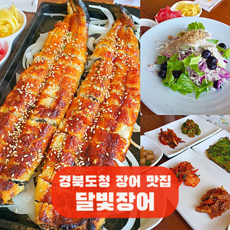 경북도청 인근 점심 맛집 달빛장어, 안동 장어 하회마을 근처